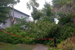 slide-2014-09-12-13.52