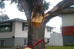 slide-2014-09-12-14.20-2