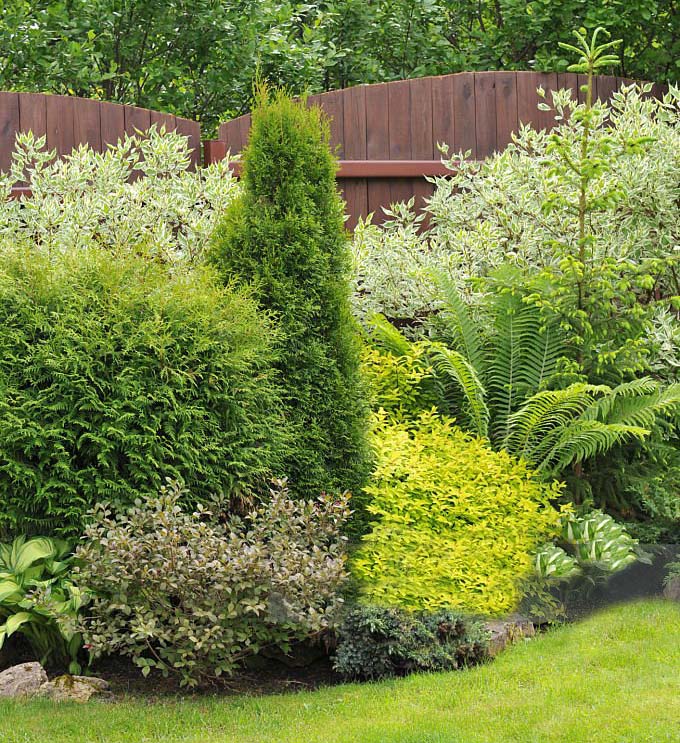 Enhance the beauty, health, and longevity of your landscape